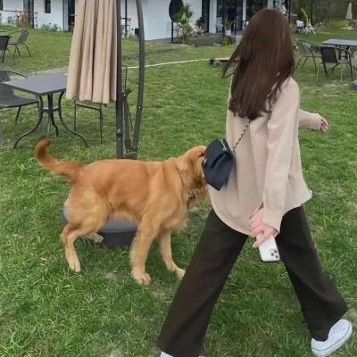 必杀处刑人